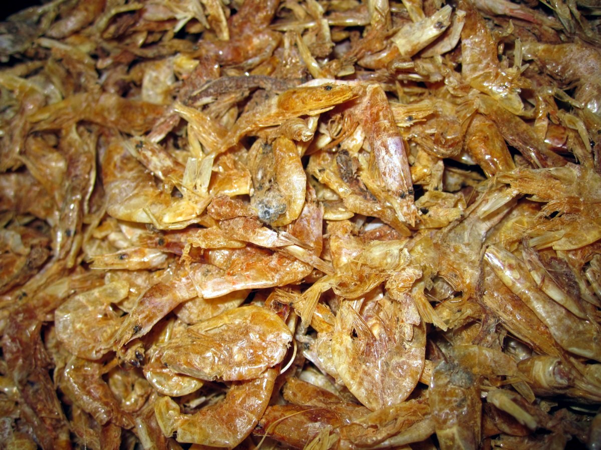 Mangalore Mangalore Mangalore Dry Fish Market